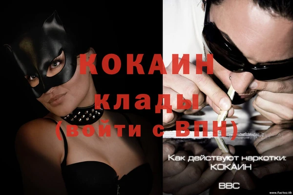 PSILOCYBIN Баксан
