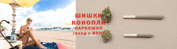 PSILOCYBIN Баксан