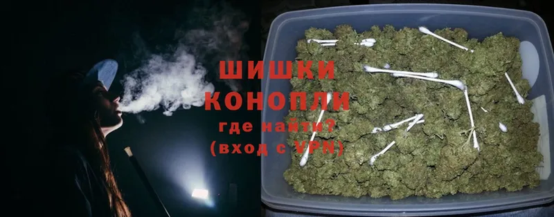 Канабис SATIVA & INDICA  Высоцк 